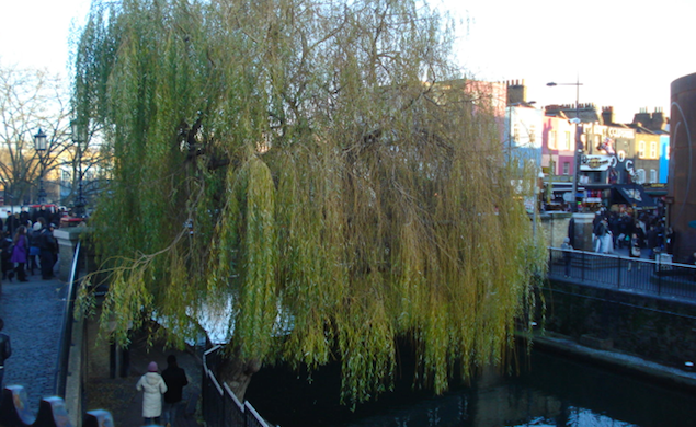 Regent's Canal-Camden Town_Londres