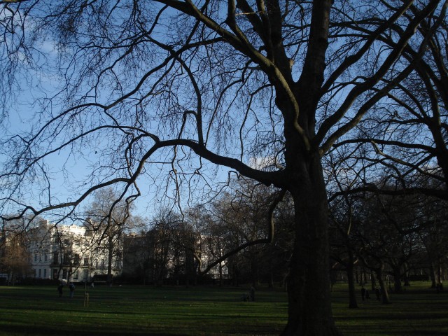 Green Park - Londres