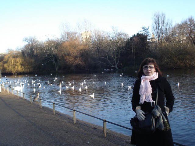 St James Park - Londres