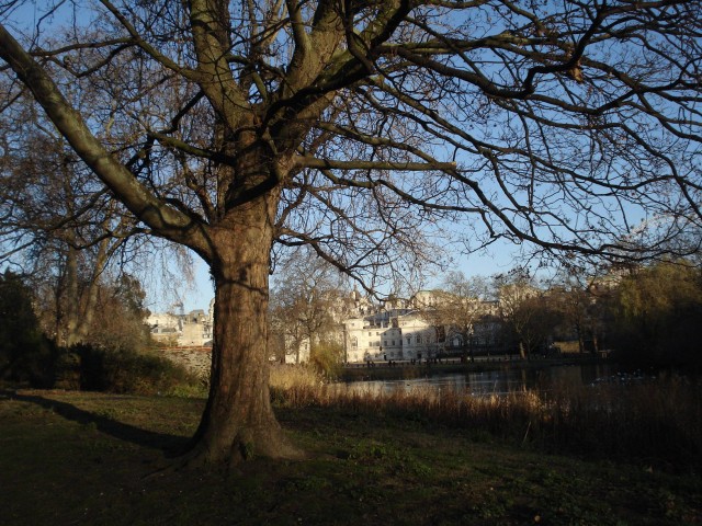 St James Park - Londres