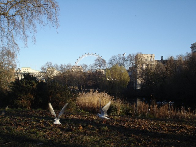 St James Park - Londres