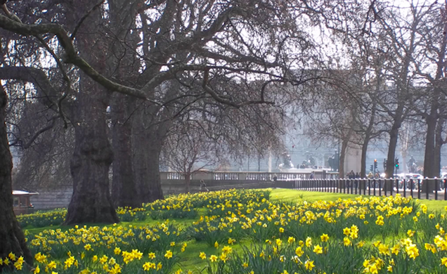 St James Park_Londres