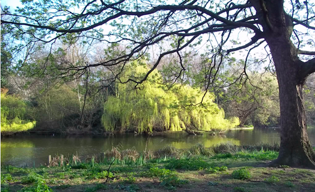 St James Park_Londres