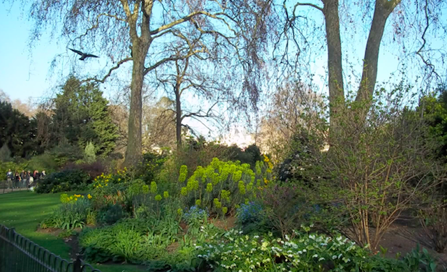 St James Park_Londres