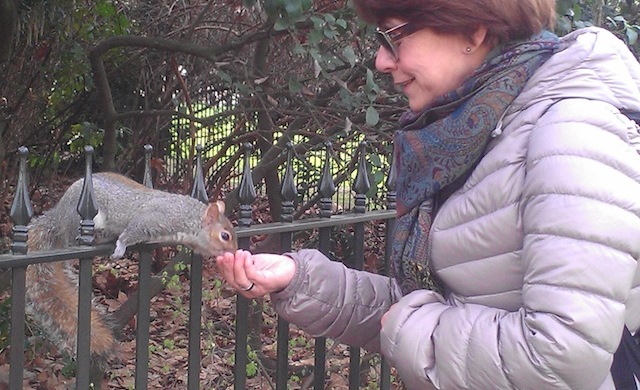 St James's Park - Esquilos - Primavera