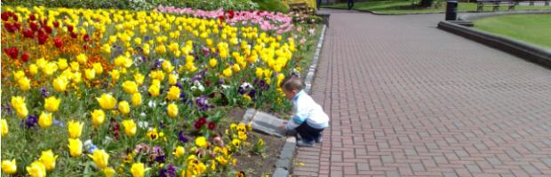 Jardins da Catedral de Dublin