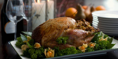 roastturkey500