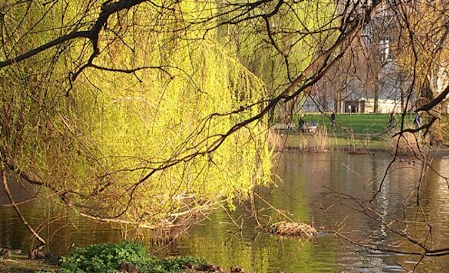 St James Park