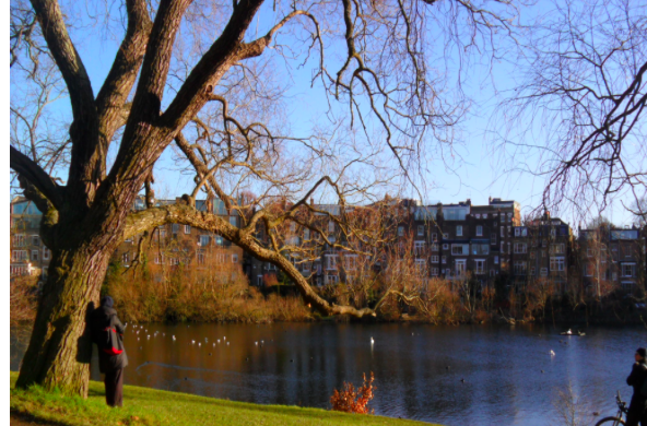 Hampstead Heath_ londres