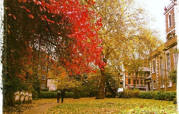 Outono em Londres