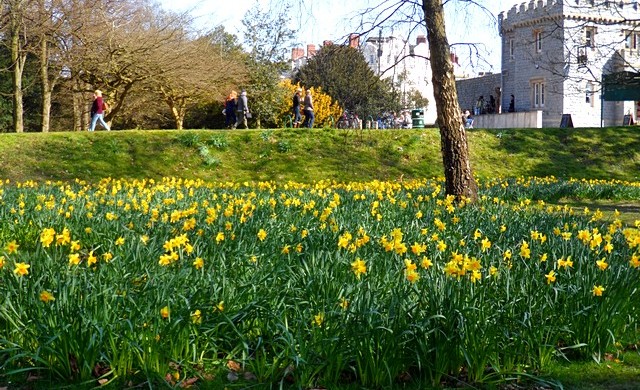 Bute Park - Cardiff