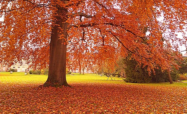 Jardins de Diane - Château de Fontainebleau