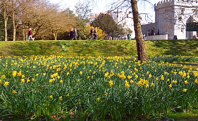 Bute Park  - Cardiff