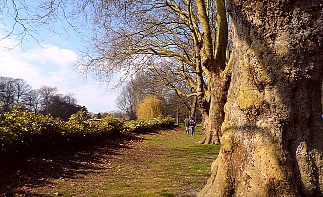 Bute Park - Castle - Cardiff