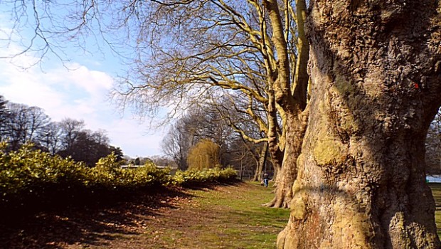 Bute Park Cardiff