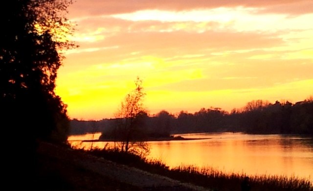 Vale do Loire - Amboise