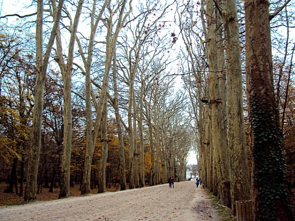 Caminho para o Château de Cheanonceau - foto: Patricia Blower