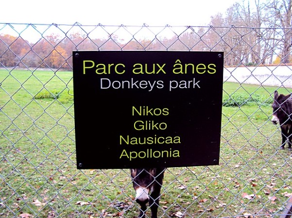 Parc Aux Ânes - Chateau de Chenonceau - Vale do Loire