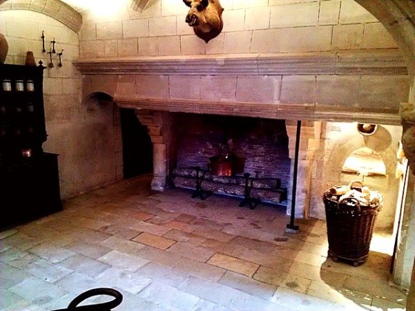 Château de Chenonceau - Interior