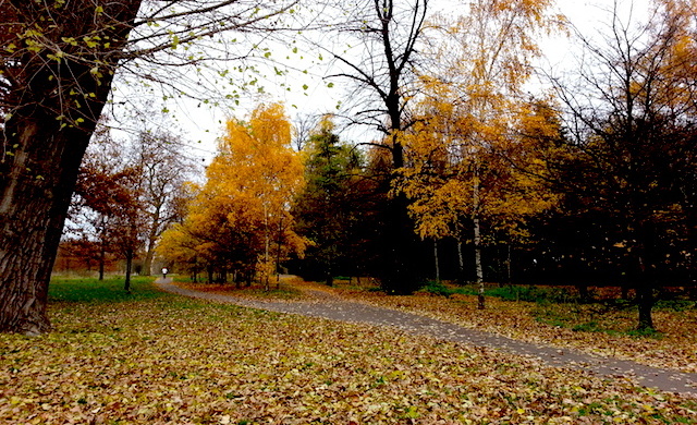 HydePark - Outono - Londres