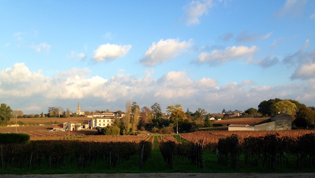 St Émilion - vinhedos