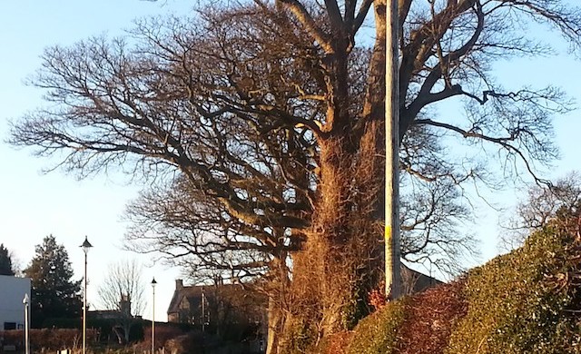 Caminho de volta ao ponto do ônibus - Rosslyn Chapel