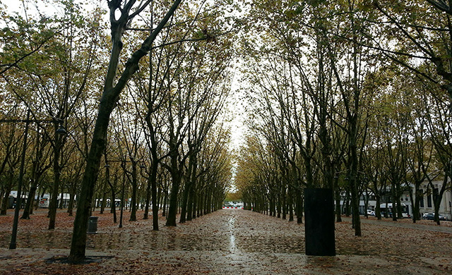 Esplanade de Quinconces - Bordeaux