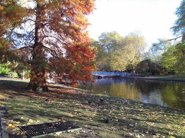 Lago em St James Park