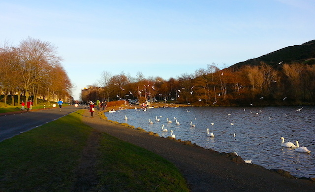 Revoada de pássaros - St Margaret's Loch - Edimburgo