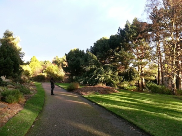 Royal Botanic Garden - Edinburgh
