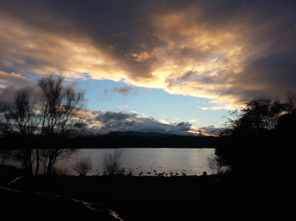 Duddingston Loch - Edinburgh