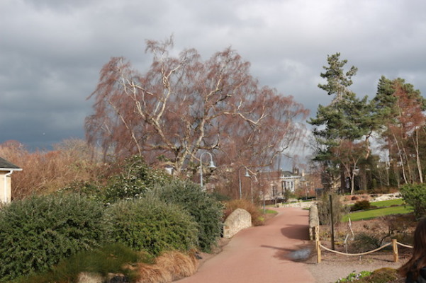 Royal Botanic Garden Edinburgh3