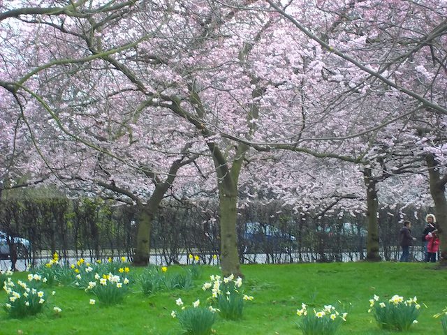 Primavera em Regent's Park - Londres