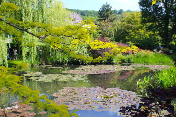 Jardins de Monet - Lago das Ninféias