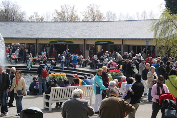 Keukenhof lotado