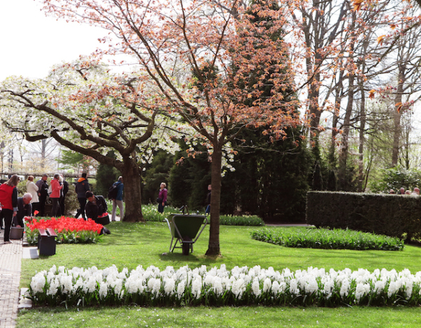 Keukenhof - Primavera 2015