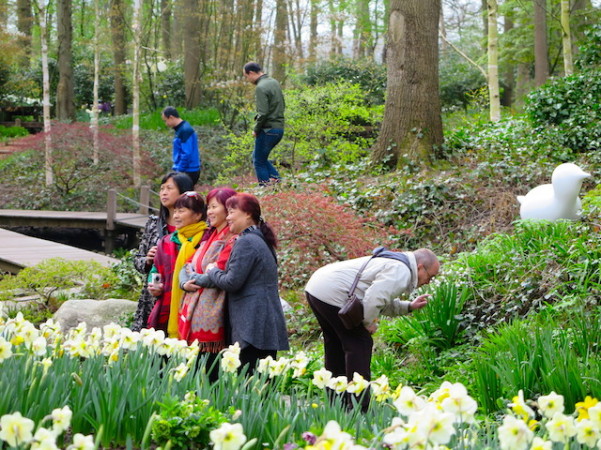 Grupos para fotos por todos os os lados! em Keukenhof