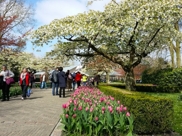 Keukenhof  - Primavera 2015