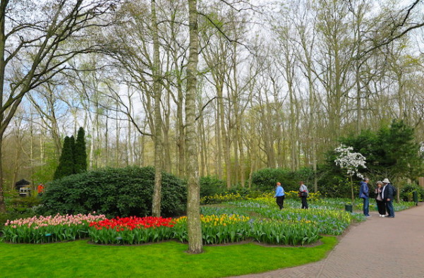 Keukenhof 