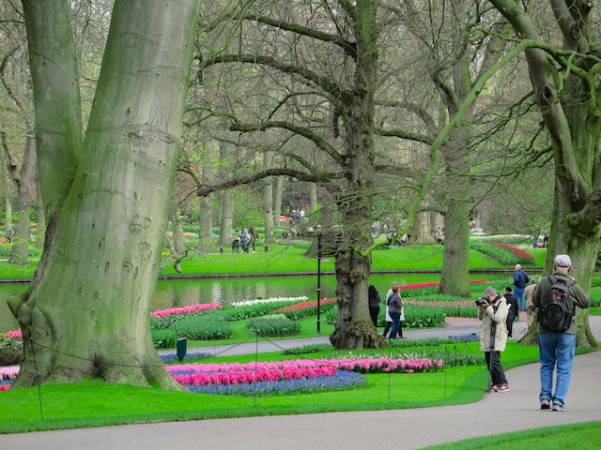 Keukenhof - Lago