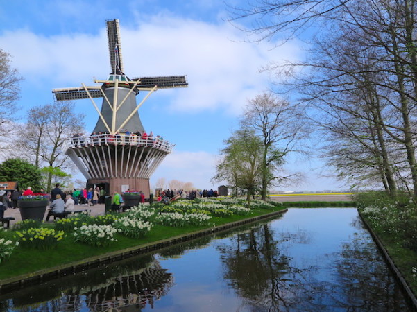 Keukenhof - Moinho