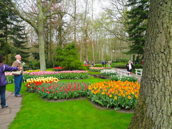 Keukenhof