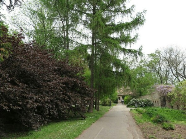 Monte Petrin - Praga