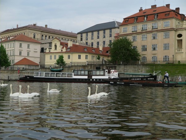Passeio de barco em Praga